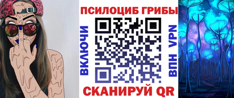 где продают   Нижний Тагил  Псилоцибиновые грибы GOLDEN TEACHER 